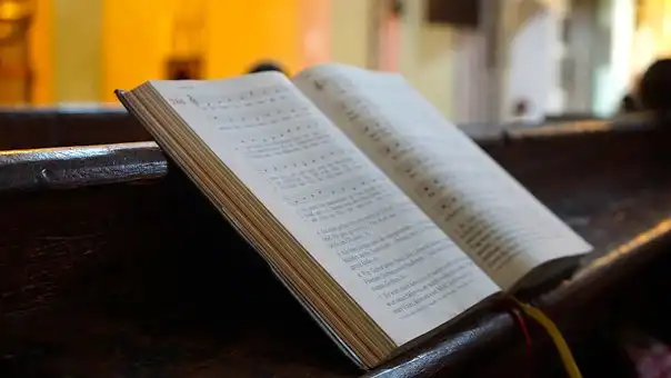 Versículos De La Biblia Amaos unos a otros