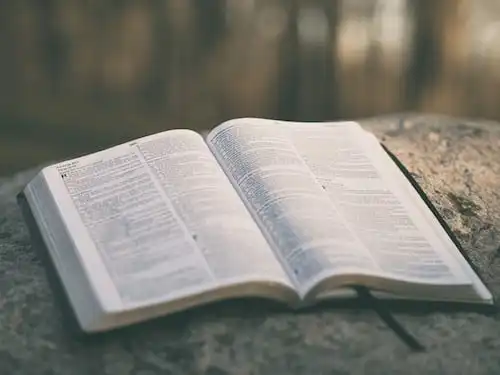 Versículos De La Biblia Amor ágape
