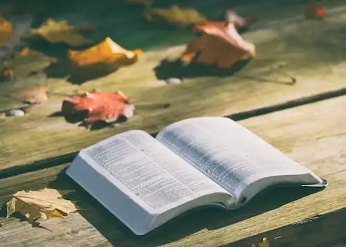 Versículos De La Biblia Ayudando gente