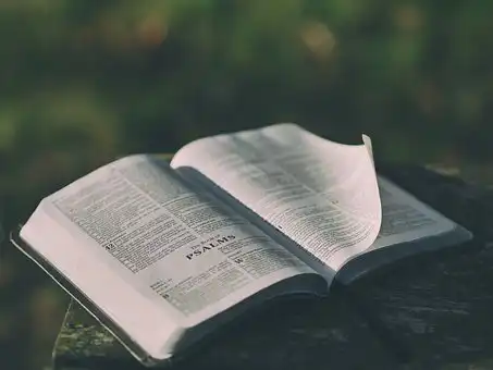 Versículos De La Biblia Bendiciones de la casa