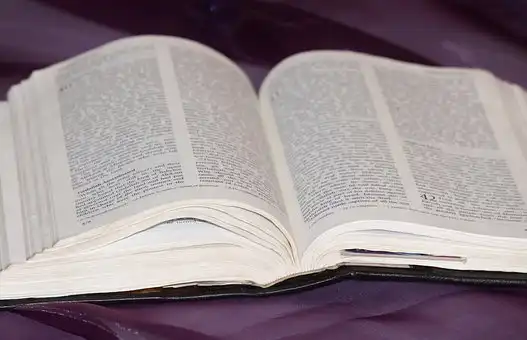 Versículos De La Biblia Celos y envidia