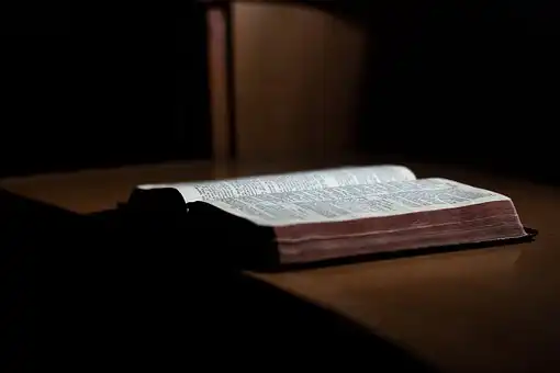 Versículos De La Biblia Constituir