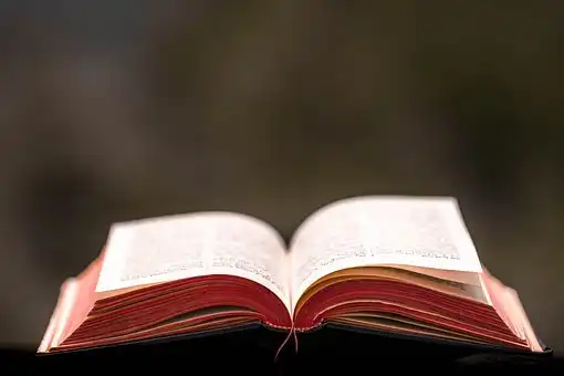 Versículos De La Biblia Convertirse en cristiano