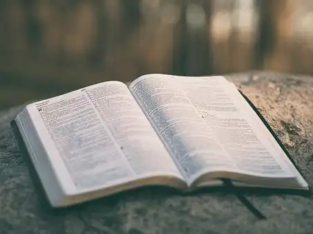 Versículos De La Biblia Cosas malas suceden