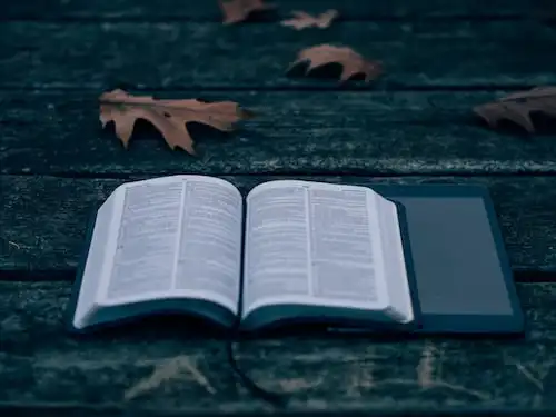 Versículos De La Biblia Felicidad