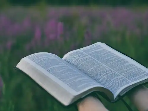 Versículos De La Biblia La naturaleza humana