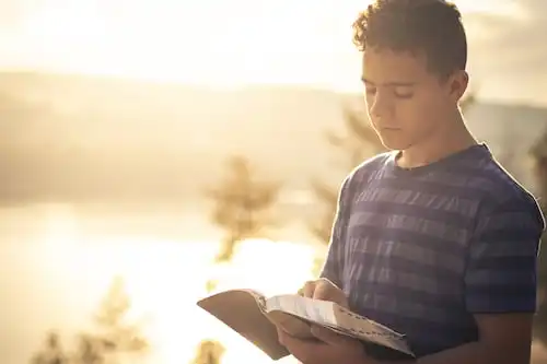 Versículos De La Biblia Lobos