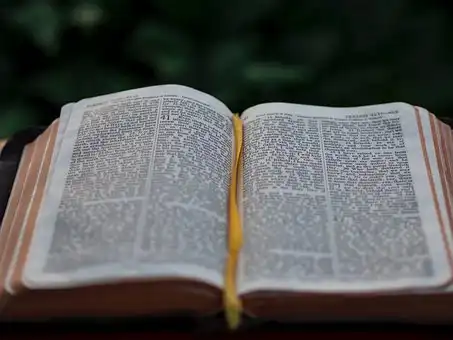 Versículos De La Biblia Obedeciendo a tus padres