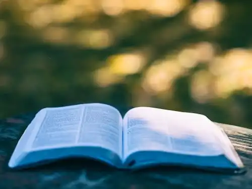 Versículos De La Biblia Oveja perdida
