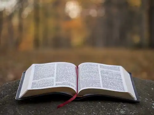 Versículos De La Biblia Sueños malos