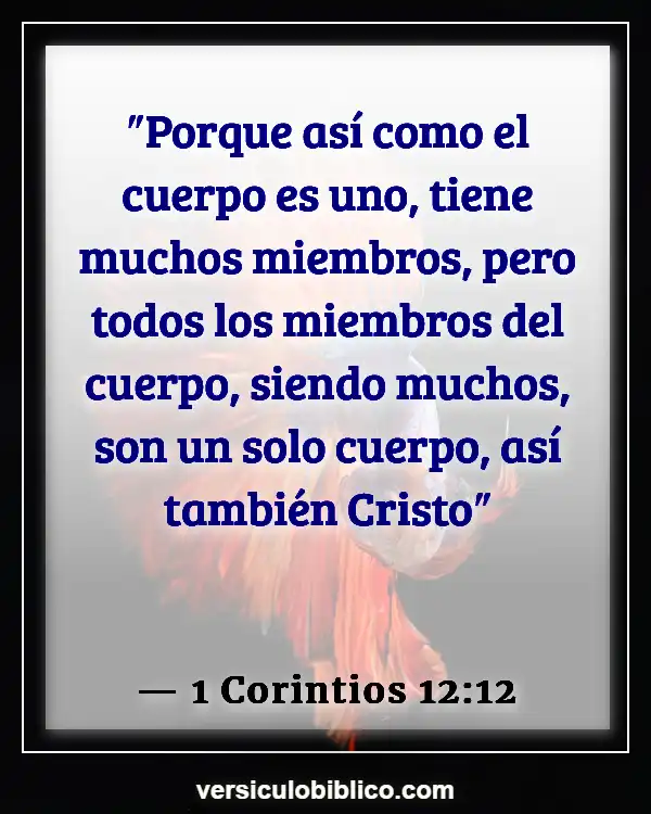 Versículos De La Biblia sobre Unidad de la Iglesia (1 Corintios 12:12)