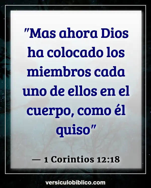 Versículos De La Biblia sobre Usando tus talentos (1 Corintios 12:18)