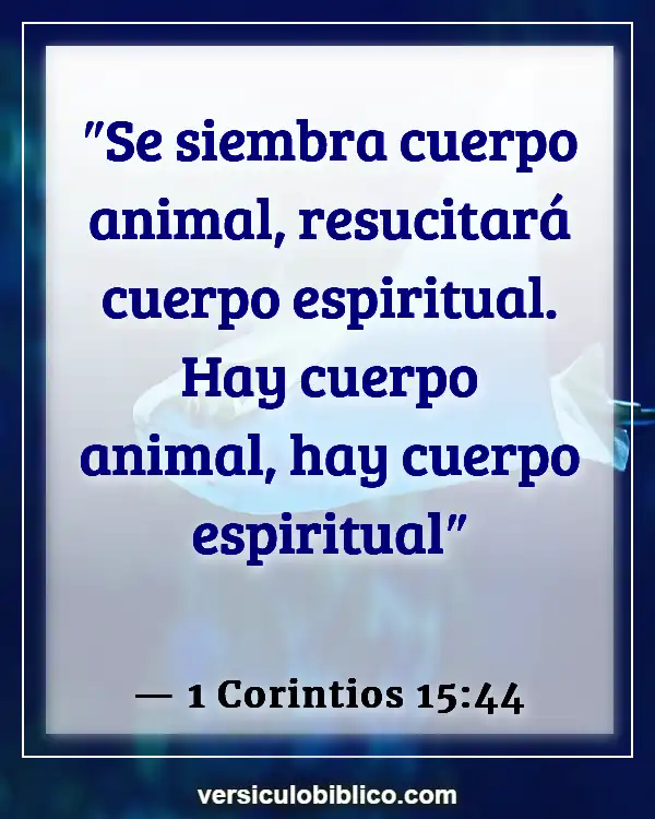 Versículos De La Biblia sobre Nuestros cuerpos (1 Corintios 15:44)