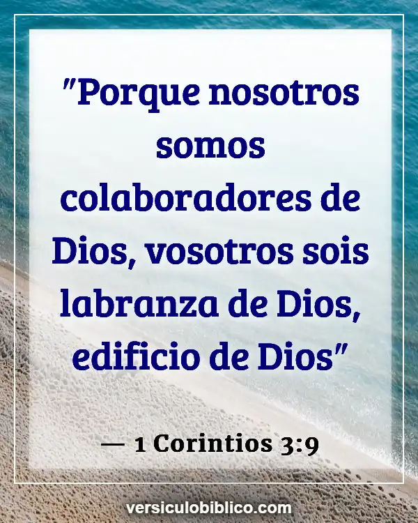 Versículos De La Biblia sobre Camaradería (1 Corintios 3:9)