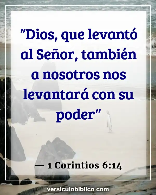 Versículos De La Biblia sobre Echar de menos a alguien (1 Corintios 6:14)