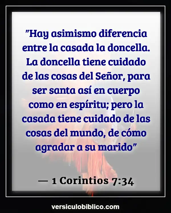 Versículos De La Biblia sobre Viviendo juntos Solteros (1 Corintios 7:34)