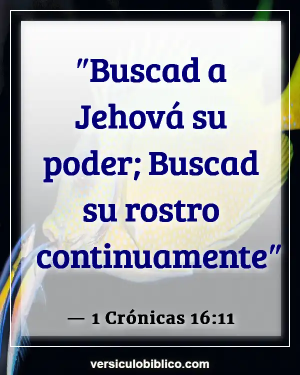 Versículos De La Biblia sobre Perserverancia (1 Crónicas 16:11)