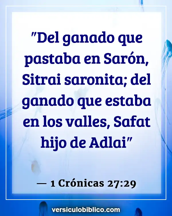 Versículos De La Biblia sobre Montañas Y Valles (1 Crónicas 27:29)