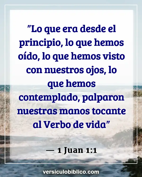 Versículos De La Biblia sobre Sorpresas (1 Juan 1:1)