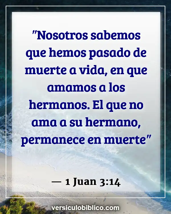 Versículos De La Biblia sobre Amar a tus hermanos (1 Juan 3:14)