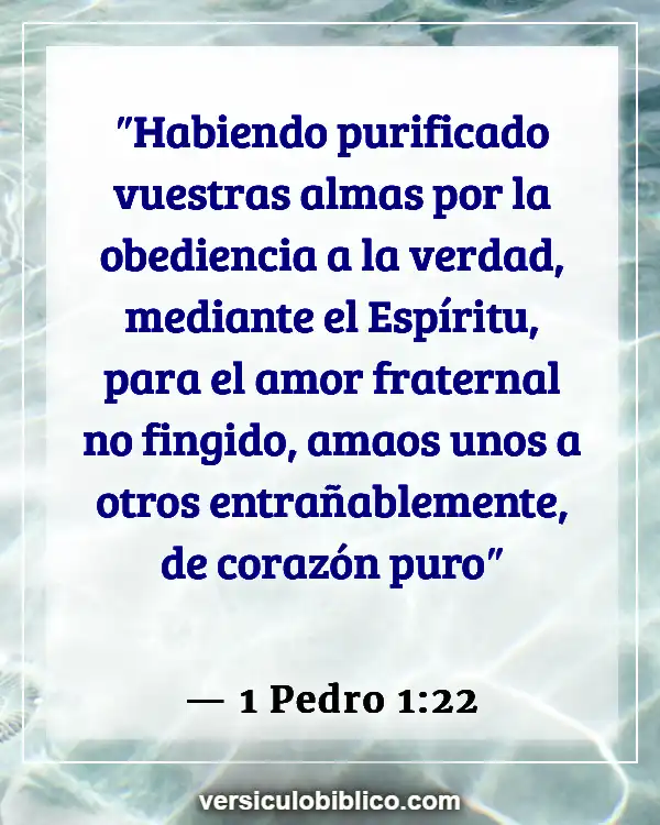 Versículos De La Biblia sobre Amar a tus hermanos (1 Pedro 1:22)