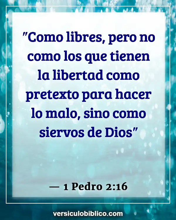 Versículos De La Biblia sobre Perfeccionismo (1 Pedro 2:16)