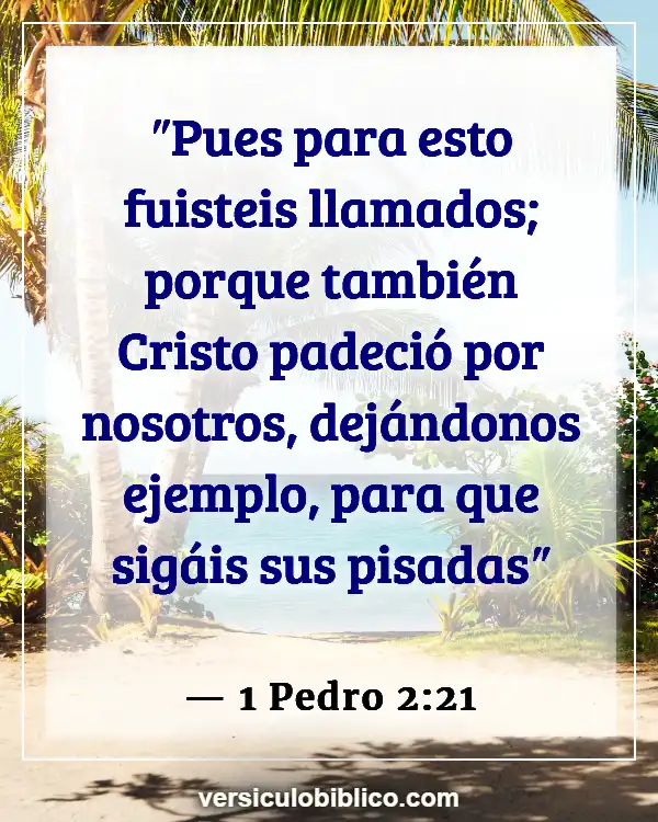 Versículos De La Biblia sobre Vencedores (1 Pedro 2:21)