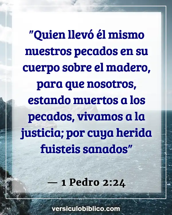 Versículos De La Biblia sobre Curación Física (1 Pedro 2:24)