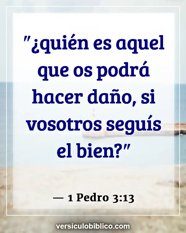 Versículos De La Biblia sobre No funciona (1 Pedro 3:13)