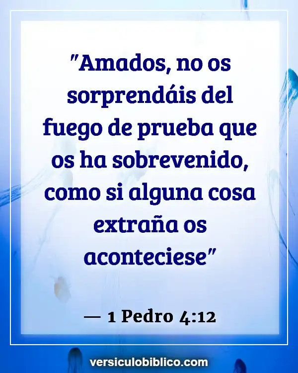 Versículos De La Biblia sobre Persecucion (1 Pedro 4:12)