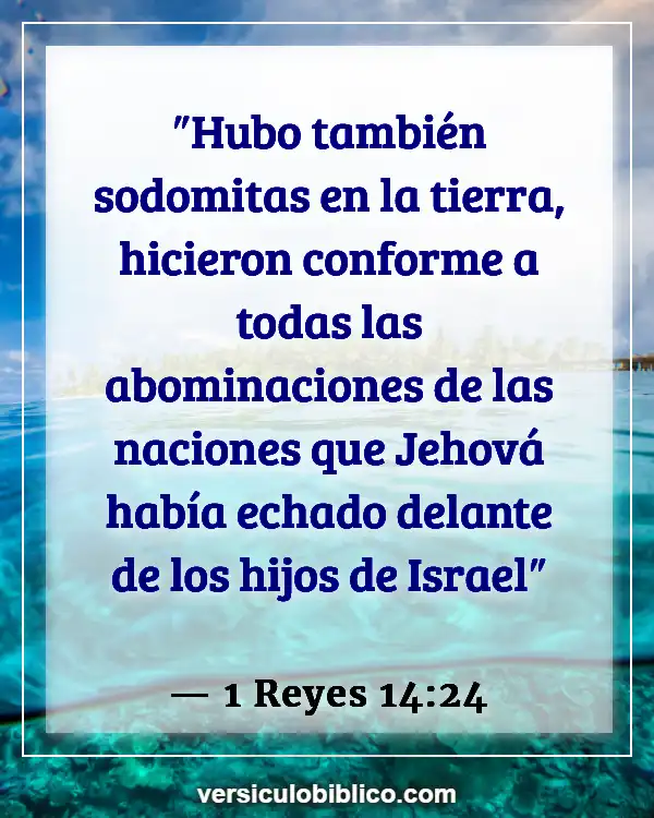 Versículos De La Biblia sobre Observación (1 Reyes 14:24)