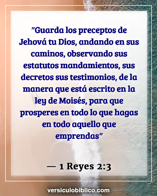 Versículos De La Biblia sobre Obediencia a Dios (1 Reyes 2:3)