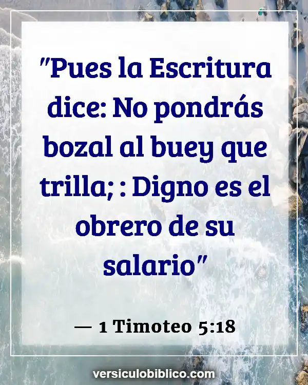 Versículos De La Biblia sobre Trata de personas (1 Timoteo 5:18)