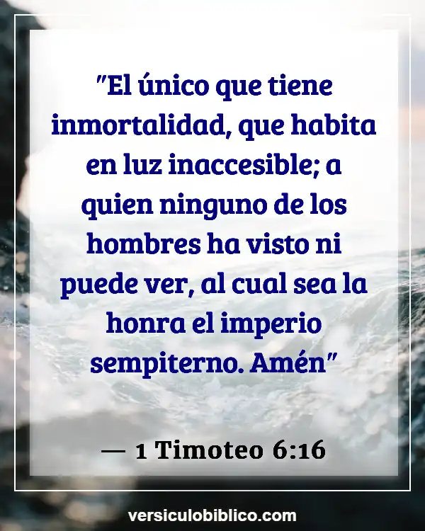 Versículos De La Biblia sobre Pulmones (1 Timoteo 6:16)