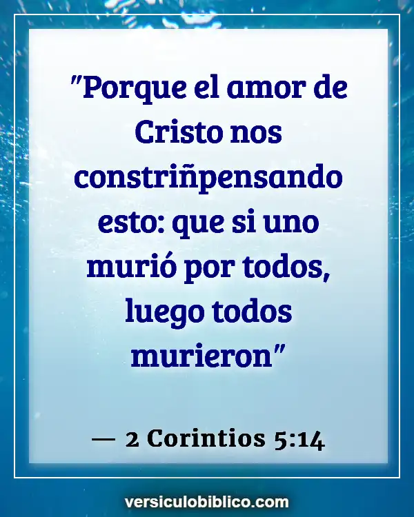 Versículos De La Biblia sobre Corderos (2 Corintios 5:14)