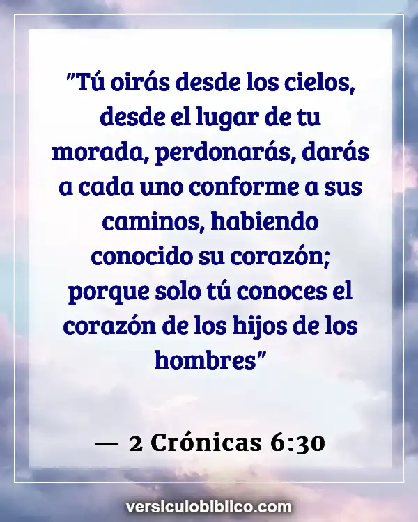 Versículos De La Biblia sobre Aspecto externo (2 Crónicas 6:30)