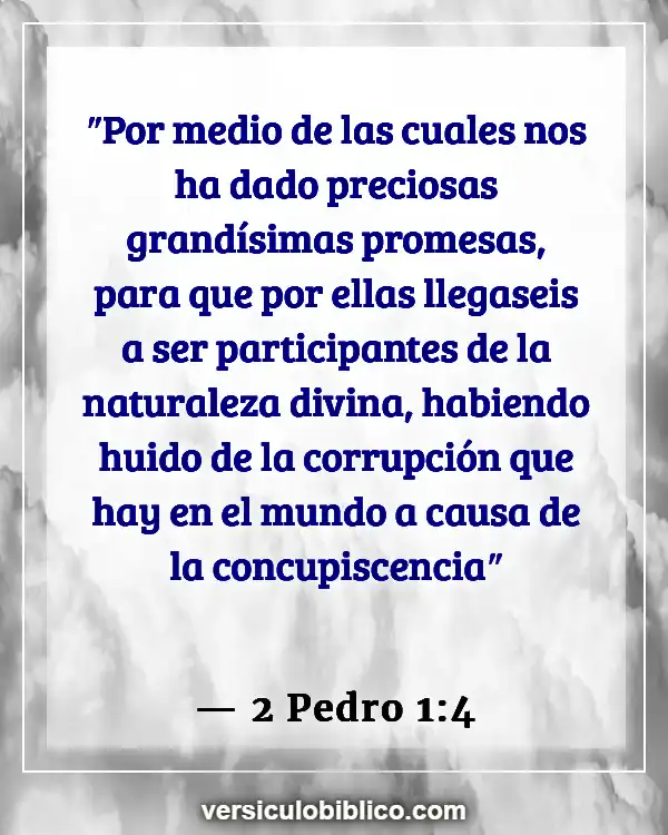 Versículos De La Biblia sobre Personalidad (2 Pedro 1:4)