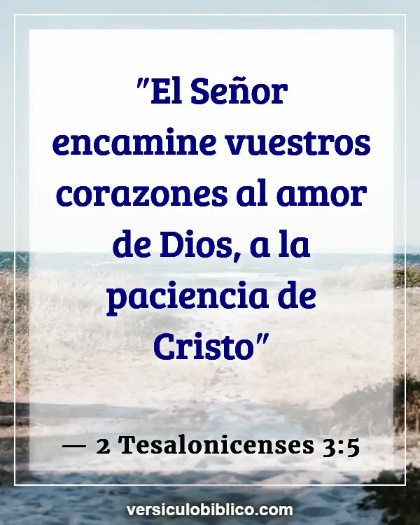 Versículos De La Biblia sobre Perserverancia (2 Tesalonicenses 3:5)