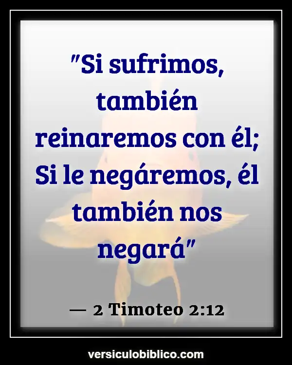 Versículos De La Biblia sobre Perserverancia (2 Timoteo 2:12)