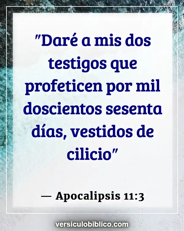 Versículos De La Biblia sobre Ser testigo (Apocalipsis 11:3)