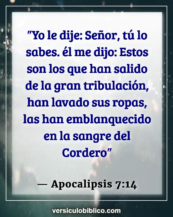 Versículos De La Biblia sobre Persecucion (Apocalipsis 7:14)