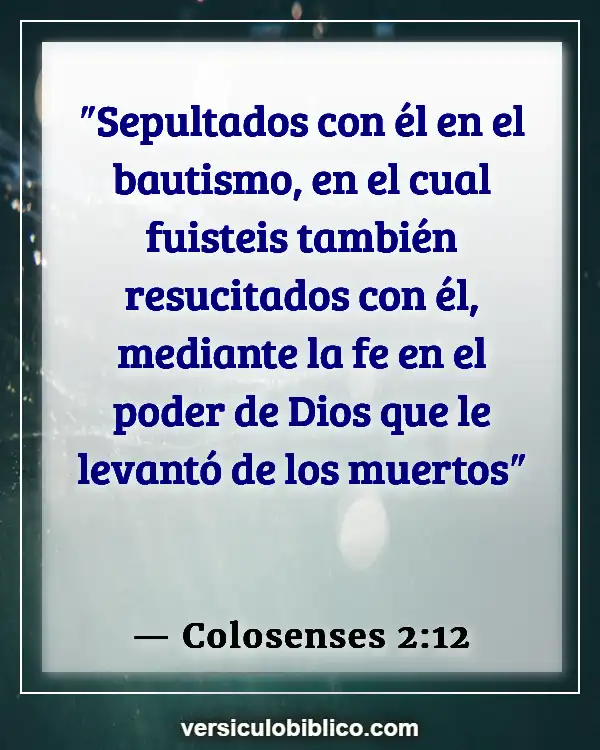 Versículos De La Biblia sobre Unión con cristo (Colosenses 2:12)