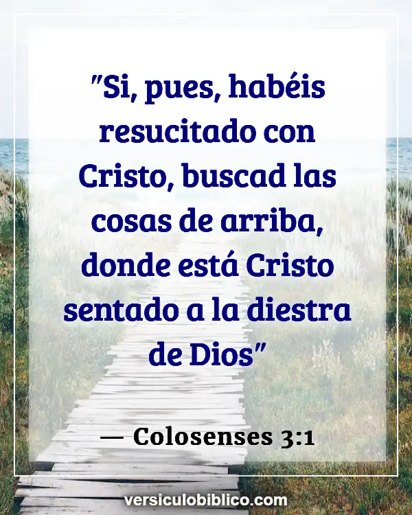 Versículos De La Biblia sobre Intimidad con Dios (Colosenses 3:1)