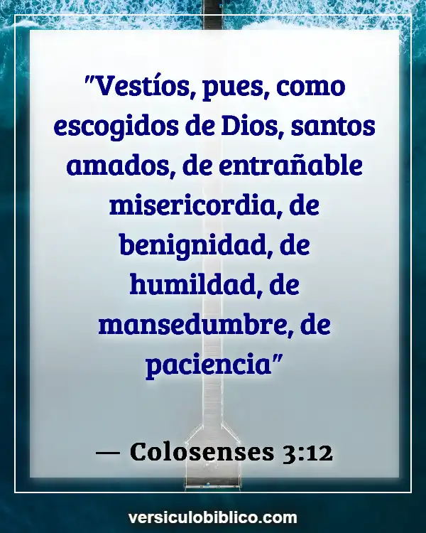 Versículos De La Biblia sobre Personalidad (Colosenses 3:12)