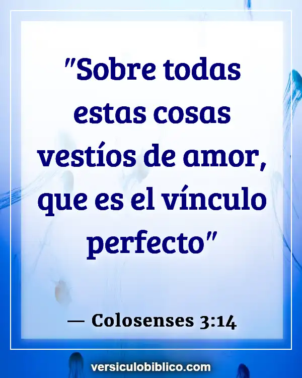 Versículos De La Biblia sobre Perfeccionismo (Colosenses 3:14)