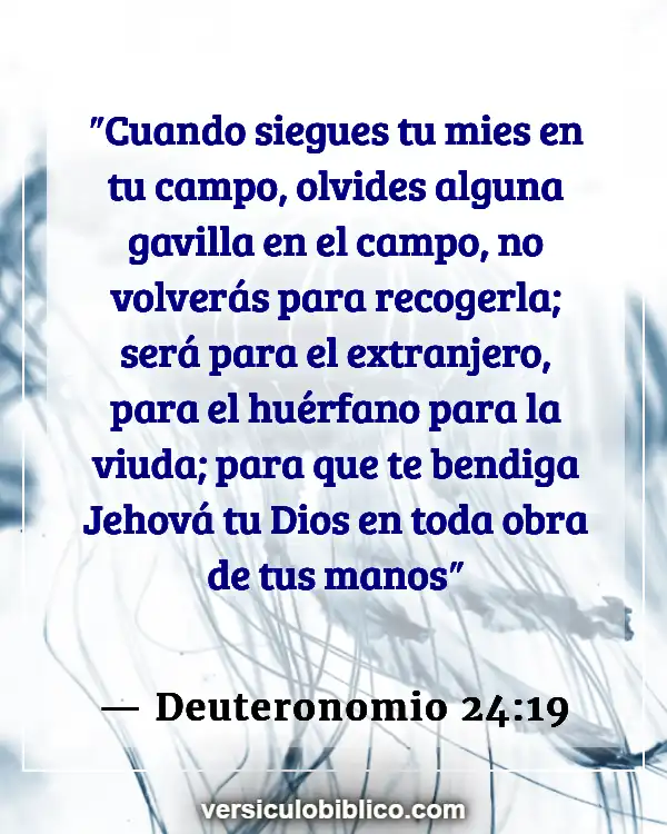 Versículos De La Biblia sobre Trata de personas (Deuteronomio 24:19)