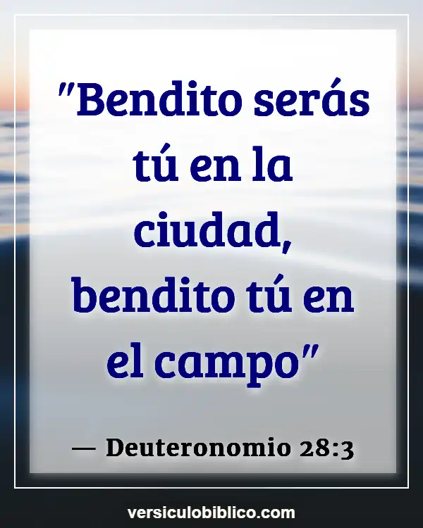 Versículos De La Biblia sobre Cometiendo errores (Deuteronomio 28:3)