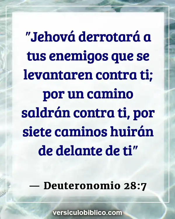 Versículos De La Biblia sobre Cumplimiento de la ley (Deuteronomio 28:7)