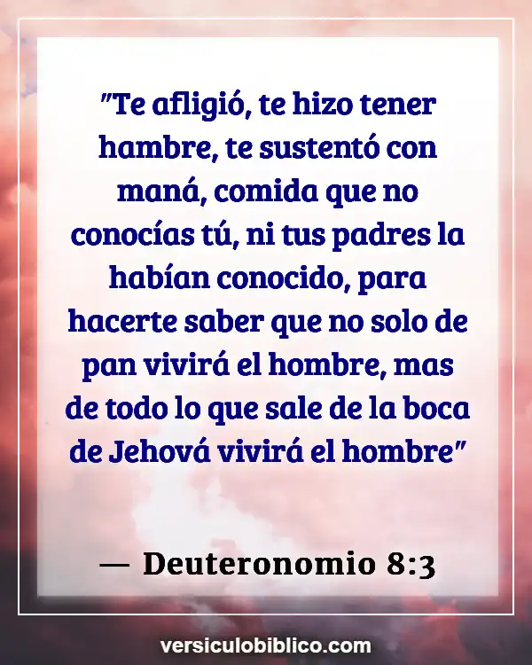 Versículos De La Biblia sobre Comer en exceso (Deuteronomio 8:3)