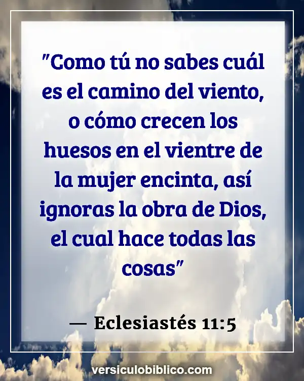 Versículos De La Biblia sobre Camino (Eclesiastés 11:5)